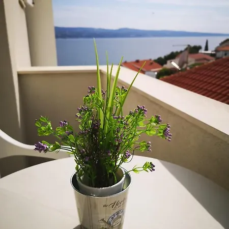 Anic Apartment *